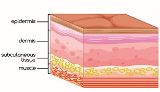 Skin concerns Mark Gittos Plastic Surgeon UK